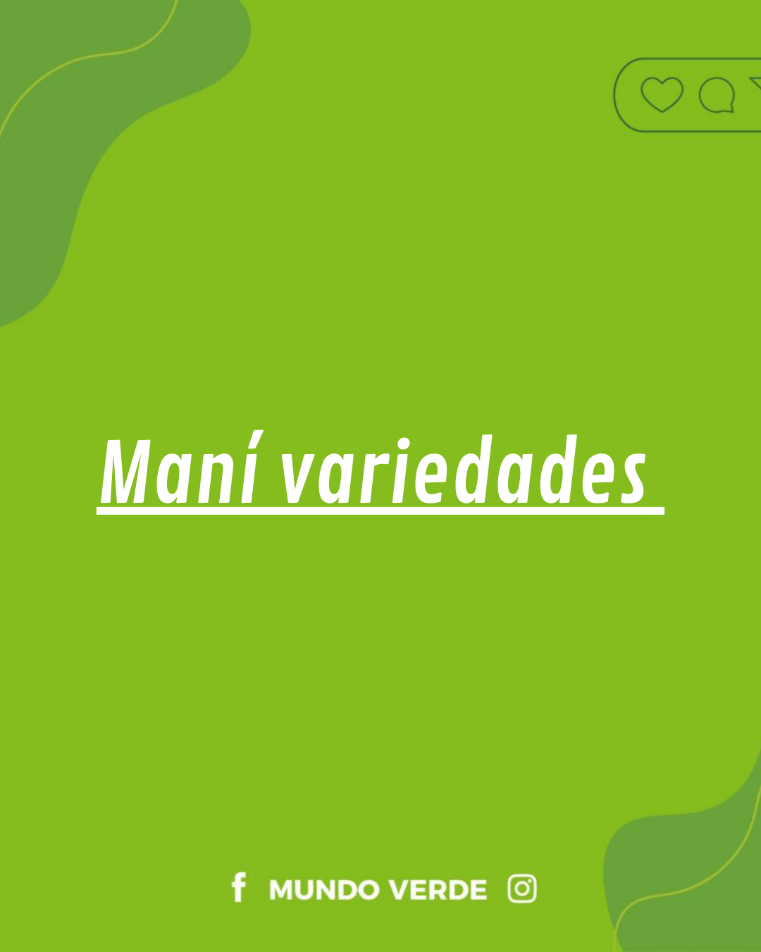Maní variedades